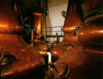 The Dalmore distillery