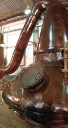 Diplomatico Rum