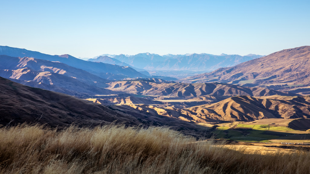 A guide to New Zealand whisky