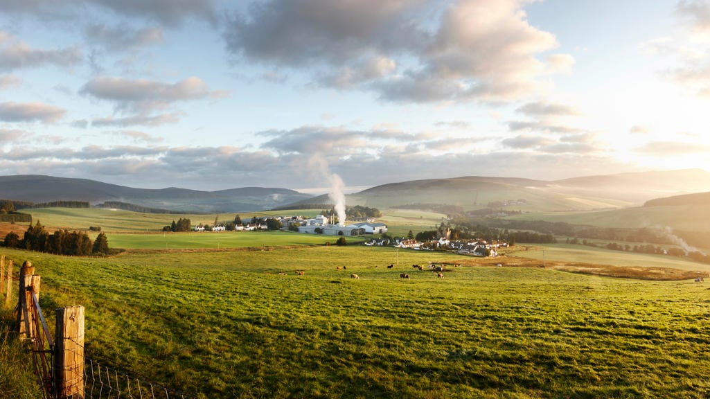 A guide to Speyside whisky