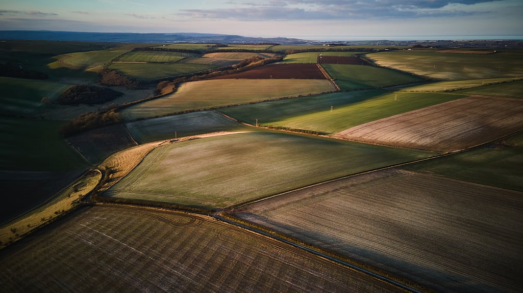 Whisky-making countries we're excited about
