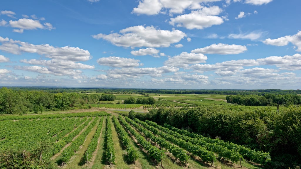 A guide to Pineau des Charentes