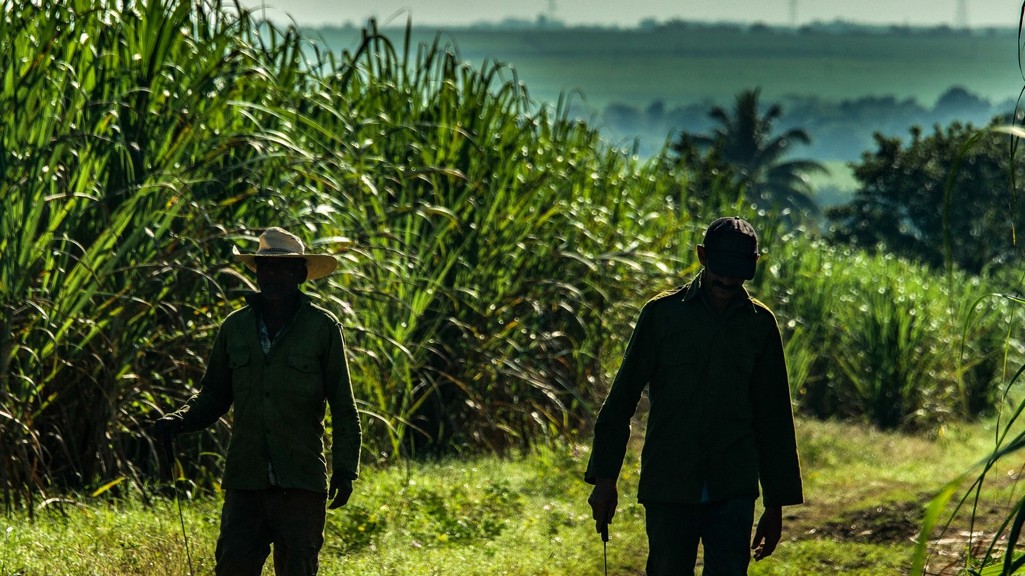 A guide to Cuban rum