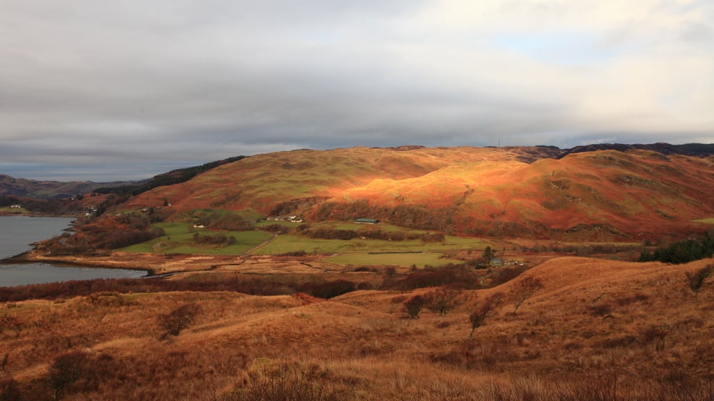 A guide to Highland whisky