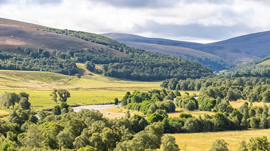 What is Spirit of Speyside Whisky Festival?