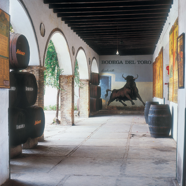 Sherry and Sherry Cask Whisky with Barbadillo (5th November 2024 19:30-21:30)