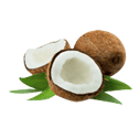 Character - Coconut