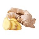 Character - Ginger