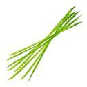 Character - Grass