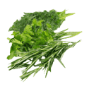 Character - Mixed Herb