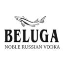 Beluga