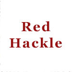 Red Hackle