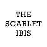Scarlet Ibis