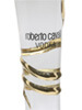 Roberto Cavalli Vodka / Very Large 6 Litre Bottle