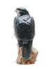Beneagles Peregrine Falcon