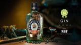Plymouth Gin