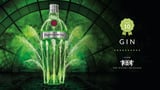 Tanqueray No.Ten Gin