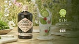Hendricks Flora Adora Gin