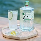 Roku Noryo Gin