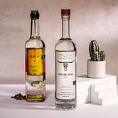 Mezcal for Mixologists