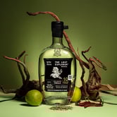 Sustainable Mezcal