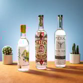 Top 10 Mezcals