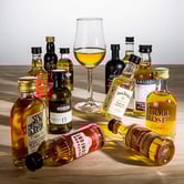 New Minis & Samples