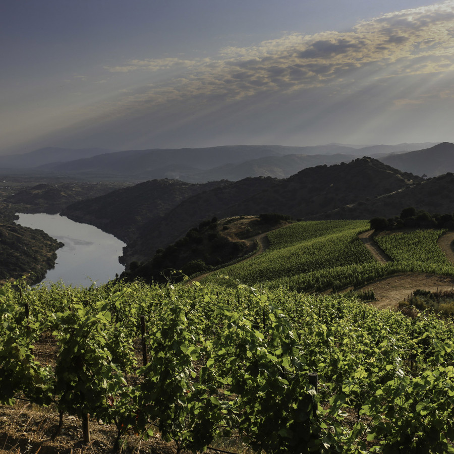 Port and Port Cask Whisky with Quinta do Vale Meão (4 June 2026 19:30-21:30)