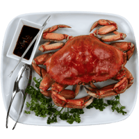 Flavour Profile - Crab