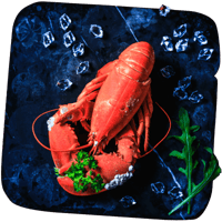 Flavour Profile - Lobster