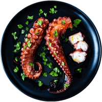 Flavour Profile - Octopus