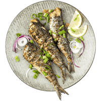 Flavour Profile - Sardines