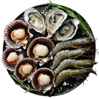 Flavour Profile - Shellfish