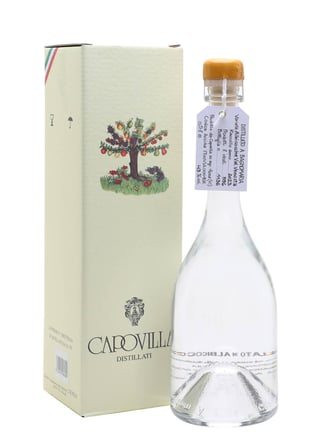 Capovilla Distallato di Albicocche 2023