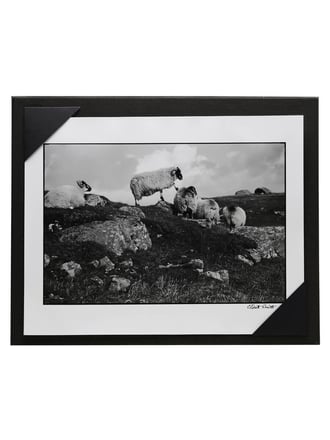 Macallan / Erwitt / Cask #4378 / Print 32
