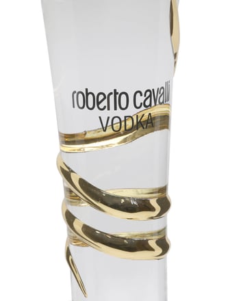 Roberto Cavalli Vodka - Very Large 6 Litre Bottle : Buy from World's