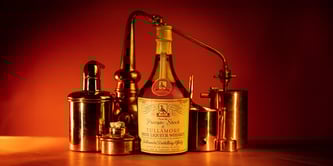 Top 10 Old & Rare Irish Whiskies