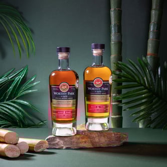 Our Exclusive Rums