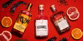 Raicilla, Sotol and Bacanora