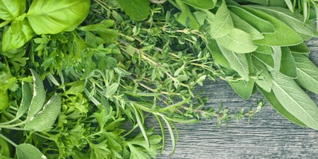 Herb Liqueurs
