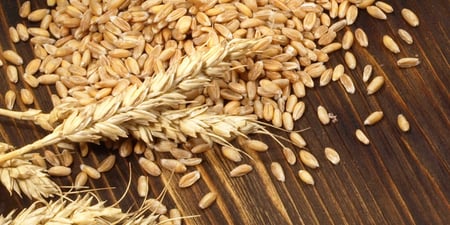 Grain Scotch Whisky