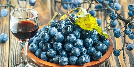 Sloe Gin