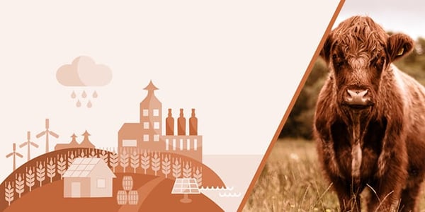 Sustainably-sourced drinks
