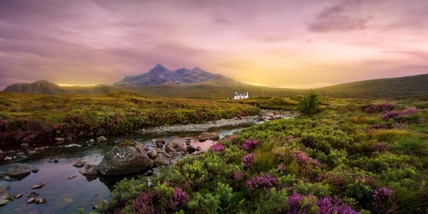 HighlandSingle Malt Scotch Whisky
