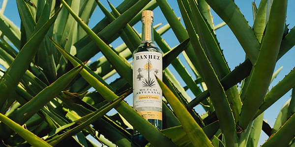 Banhez
