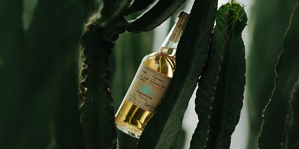 Casamigos
