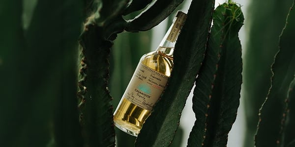 Casamigos