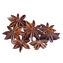 Character - Aniseed