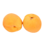 Character - Apricot