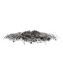 Character - Ash